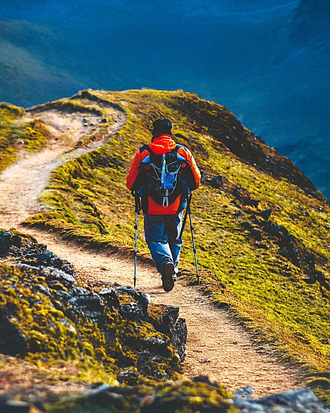 A lone hiker walking on a scenic mountain trail, wearing an orange jacket and carrying a backpack, surrounded by vibrant greenery and rugged terrain.