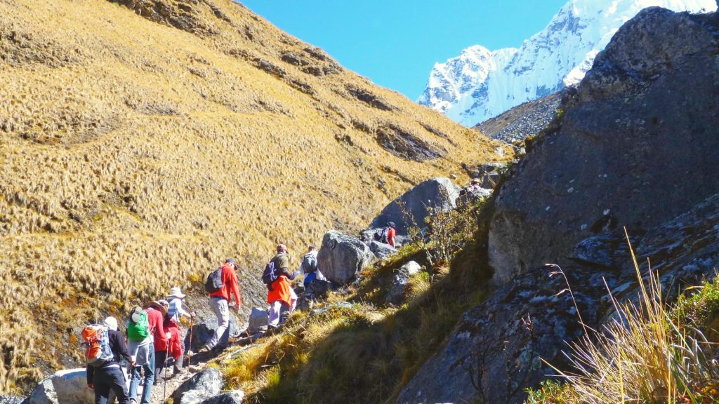 Group of hikers climbing a rocky trail on the Salkantay Trek surrounded by golden grasslands and snow-capped mountains.