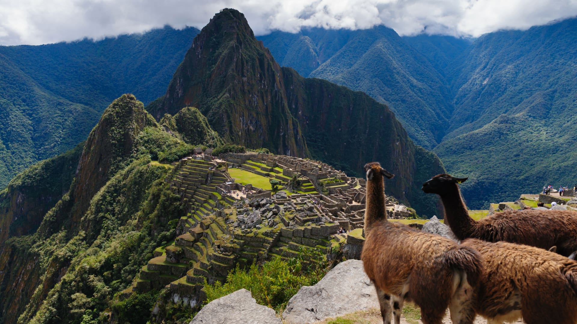 Machu Picchu with Llamas and Huayna Picchu in the Background