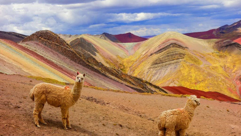 Two alpacas in a stunning mountain landscape with vibrant colors in Palccoyo - Xplor Machupicchu