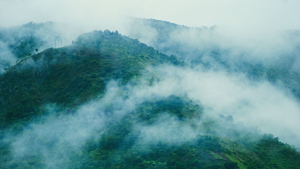 A breathtaking view of the Andean mountains covered in lush greenery and dense mist, creating a mystical and peaceful ambiance.