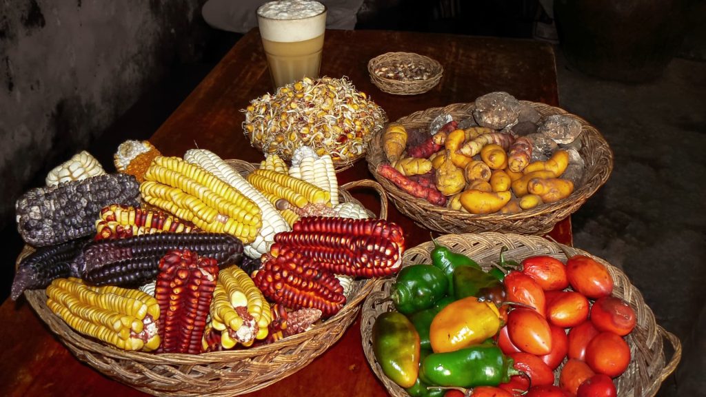A colorful selection of Peruvian superfoods, featuring heirloom corn, native potatoes, fresh peppers, and a foamy glass of chicha – Xplor MachuPicchu