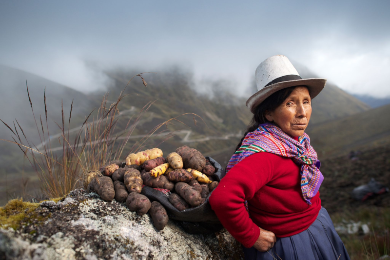 What Did Inca People Eat