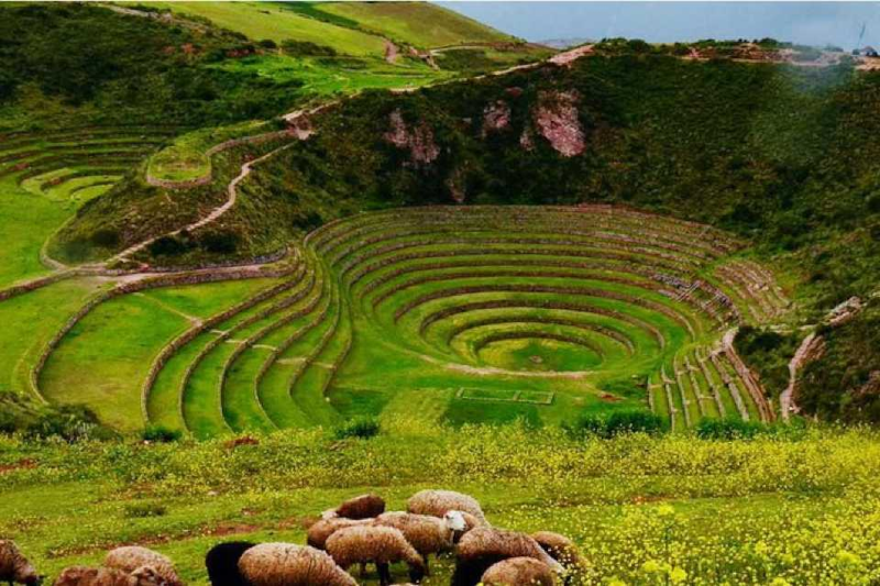 What Did Inca People Eat